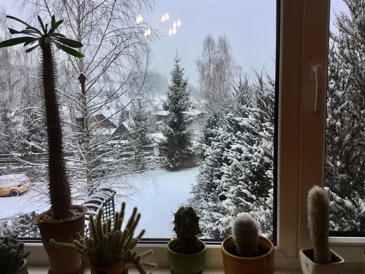 Sadyba Anastasia Slavske Exteriér fotografie